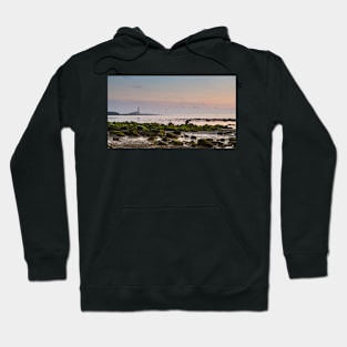 Dawn, St Mary's Lighthouse Hoodie